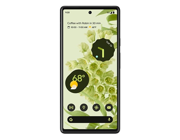 Ce produit convient à Google Pixel 6