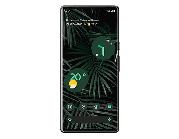 Ce produit convient à Google Pixel 6 Pro