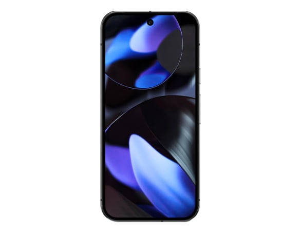 Ce produit convient à Google Pixel 9