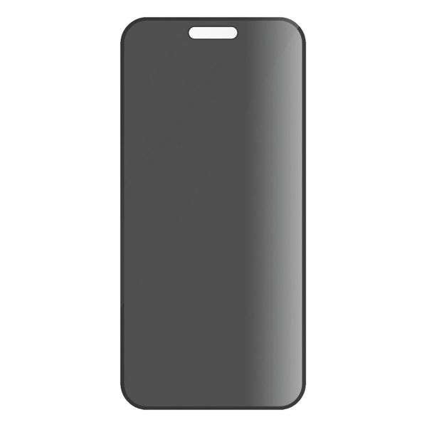 PanzerGlass ﻿Protection d'écran Privacy Ultra-Wide Fit Anti-bactérienne avec applicateur iPhone 16 Pro