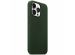 Apple Coque Leather MagSafe iPhone 13 Pro - Sequoia Green