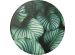 PopSockets PopGrip - Amovible - Leafy Greens