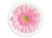 PopSockets PopGrip - Amovible - Gerber Daisy